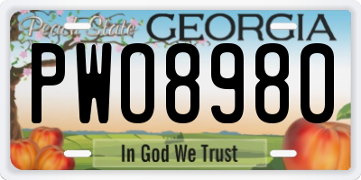 GA license plate PWO8980