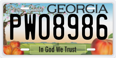 GA license plate PWO8986