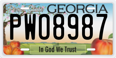 GA license plate PWO8987