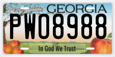 GA license plate PWO8988