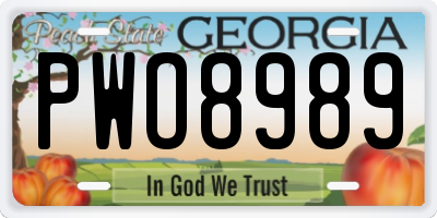 GA license plate PWO8989