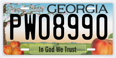 GA license plate PWO8990