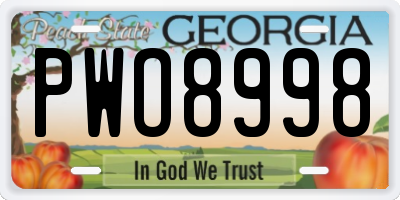 GA license plate PWO8998