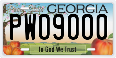 GA license plate PWO9000