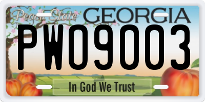 GA license plate PWO9003