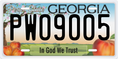GA license plate PWO9005