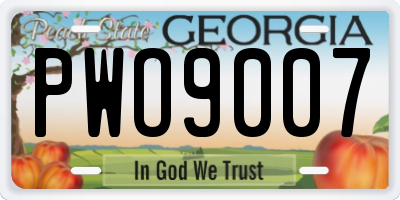 GA license plate PWO9007