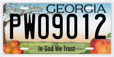 GA license plate PWO9012