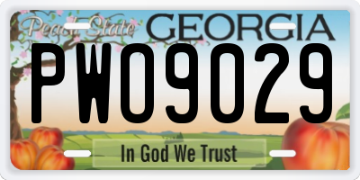 GA license plate PWO9029