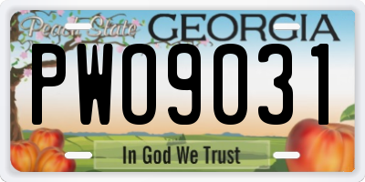 GA license plate PWO9031