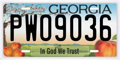 GA license plate PWO9036