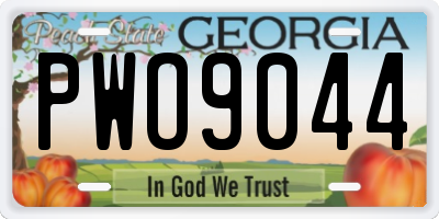 GA license plate PWO9044