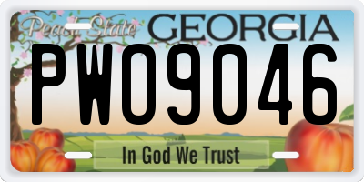 GA license plate PWO9046