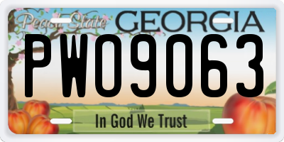 GA license plate PWO9063