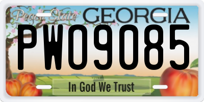 GA license plate PWO9085