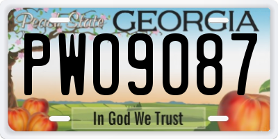 GA license plate PWO9087