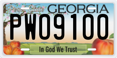 GA license plate PWO9100