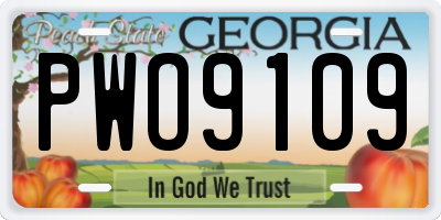 GA license plate PWO9109