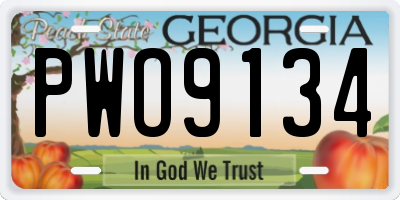 GA license plate PWO9134