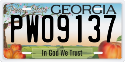 GA license plate PWO9137