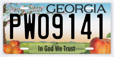 GA license plate PWO9141