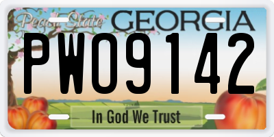 GA license plate PWO9142