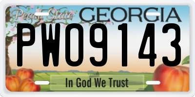 GA license plate PWO9143