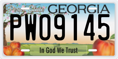 GA license plate PWO9145