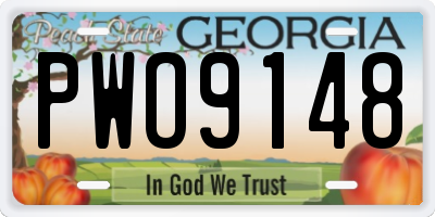GA license plate PWO9148