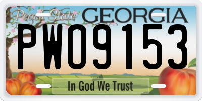 GA license plate PWO9153