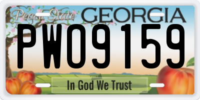 GA license plate PWO9159