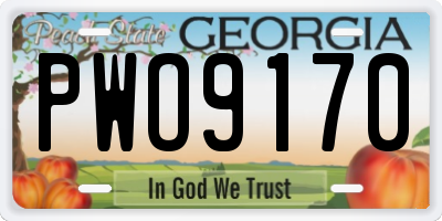 GA license plate PWO9170