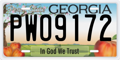 GA license plate PWO9172