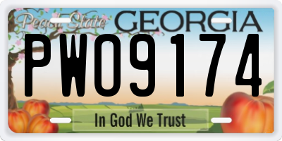 GA license plate PWO9174