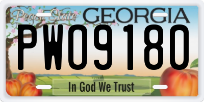 GA license plate PWO9180