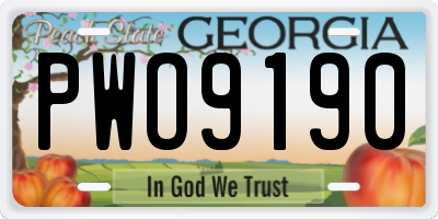 GA license plate PWO9190