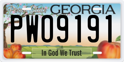 GA license plate PWO9191