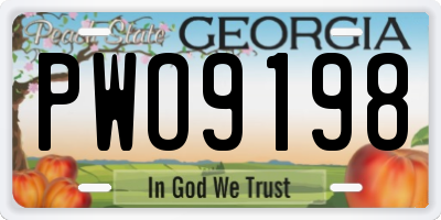 GA license plate PWO9198