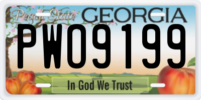 GA license plate PWO9199