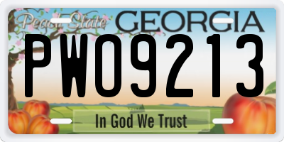 GA license plate PWO9213