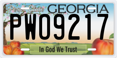 GA license plate PWO9217