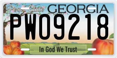 GA license plate PWO9218