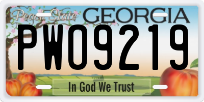 GA license plate PWO9219
