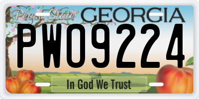 GA license plate PWO9224