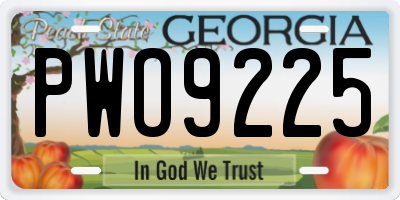 GA license plate PWO9225
