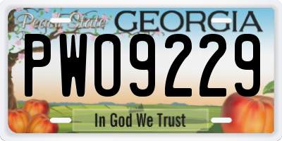 GA license plate PWO9229
