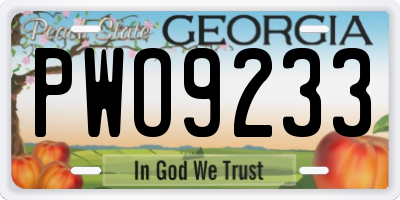 GA license plate PWO9233