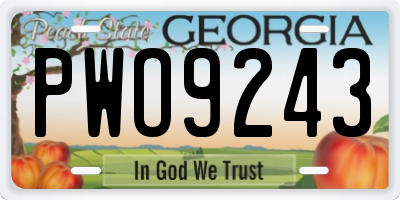 GA license plate PWO9243