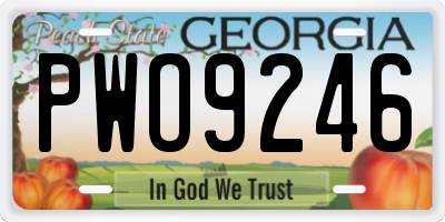 GA license plate PWO9246