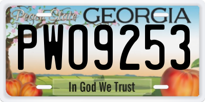 GA license plate PWO9253